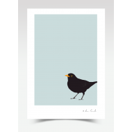 "Brian" - Blackbird (Print)