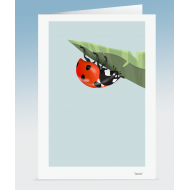 "Dottie" - Ladybird (Card)