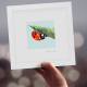 Framed Mini "Dottie" - Ladybird
